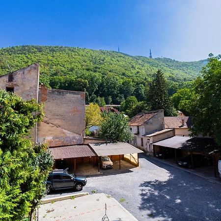 Black Gate - Quiet Studio In The Heart Of Old Town With Free Private Secured Parking Braşov Buitenkant foto