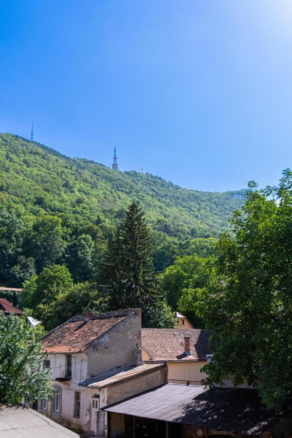 Black Gate - Quiet Studio In The Heart Of Old Town With Free Private Secured Parking Braşov Buitenkant foto