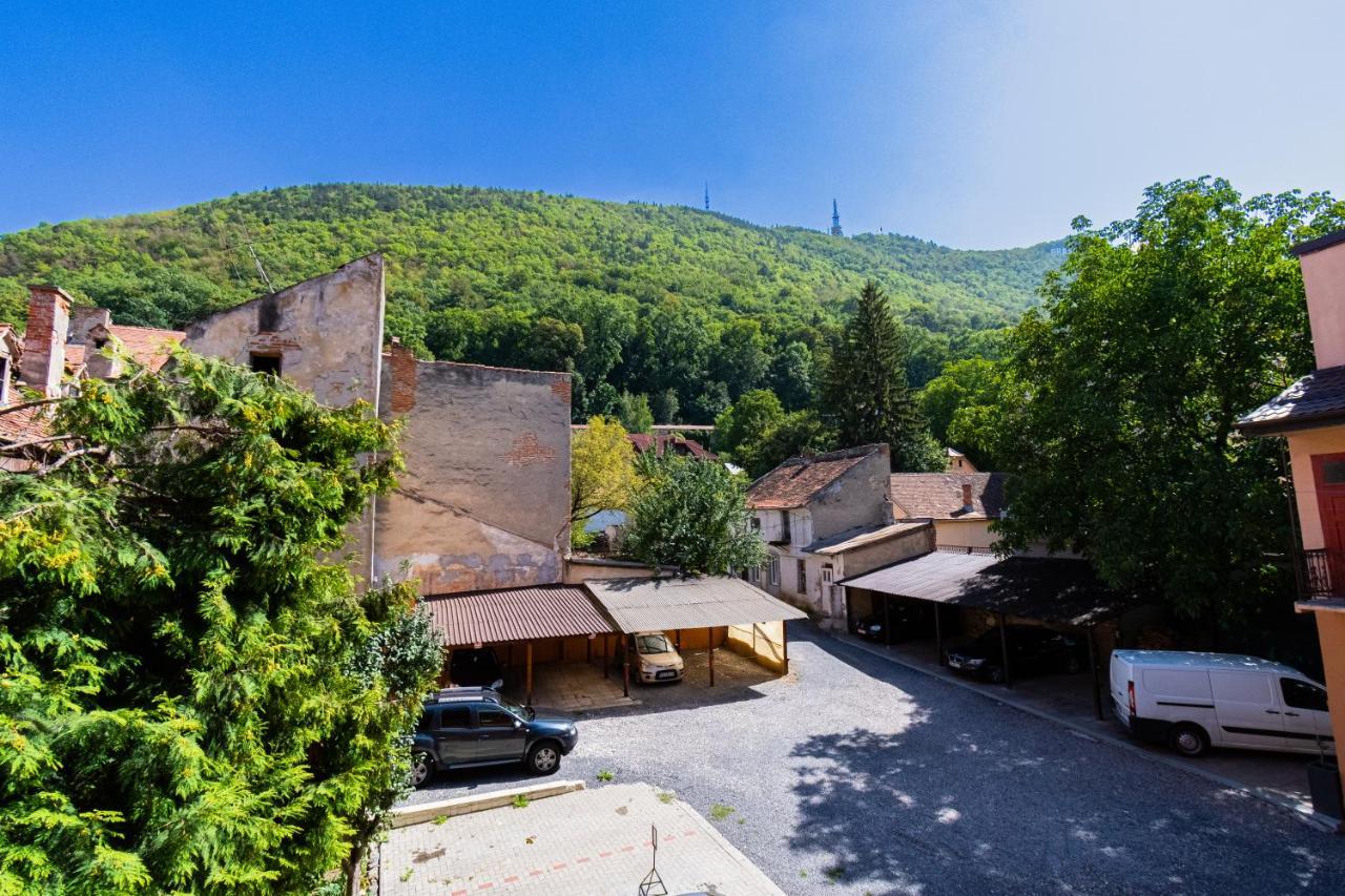 Black Gate - Quiet Studio In The Heart Of Old Town With Free Private Secured Parking Braşov Buitenkant foto